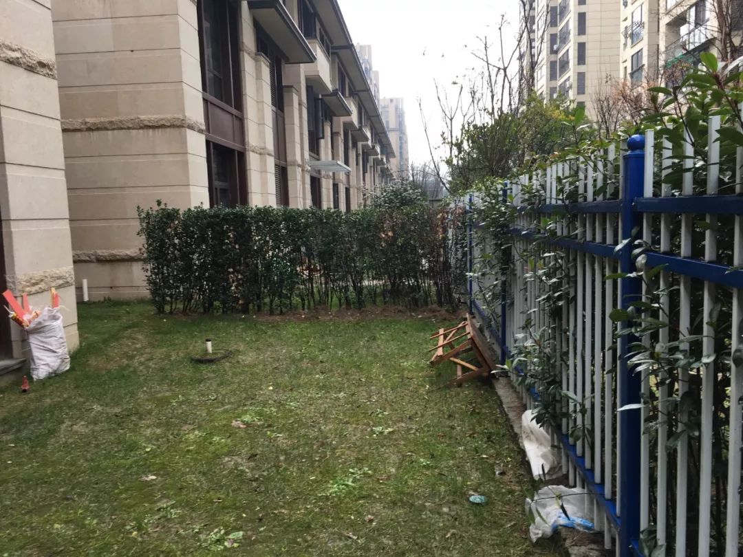 50m²简约花园设计 | 菜园、休闲区、鱼池一应俱全-113