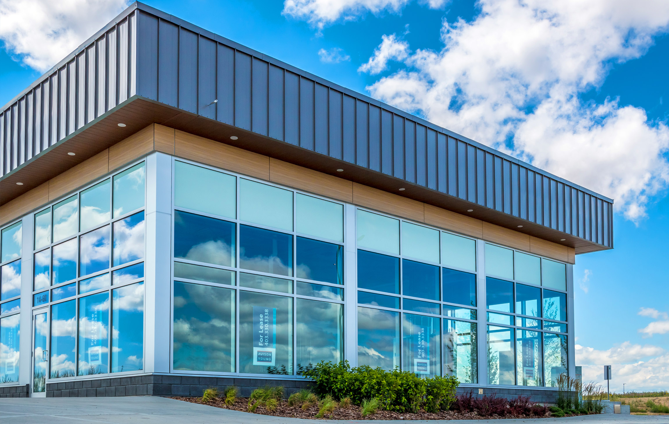 十字路口市场-19