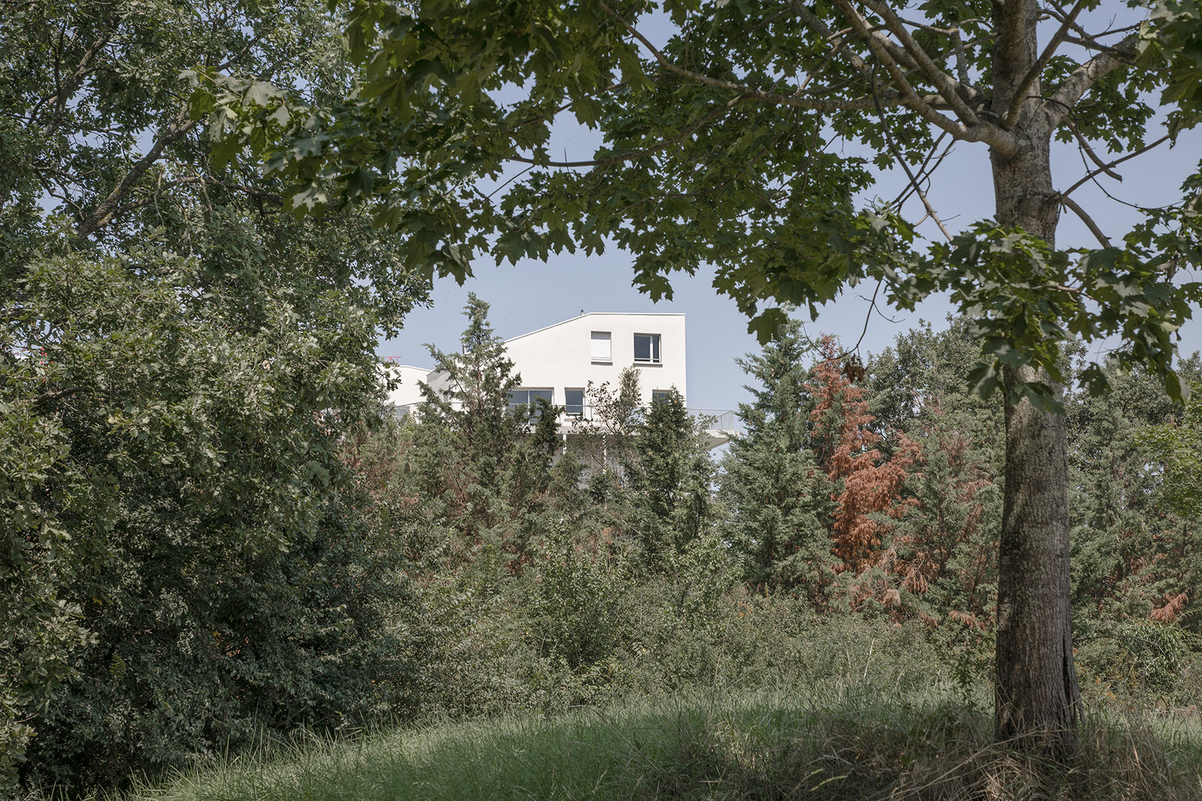 Toulouse ZAC SaintMartin 住宅楼丨法国图卢兹丨Aldric Beckmann Architectes-70