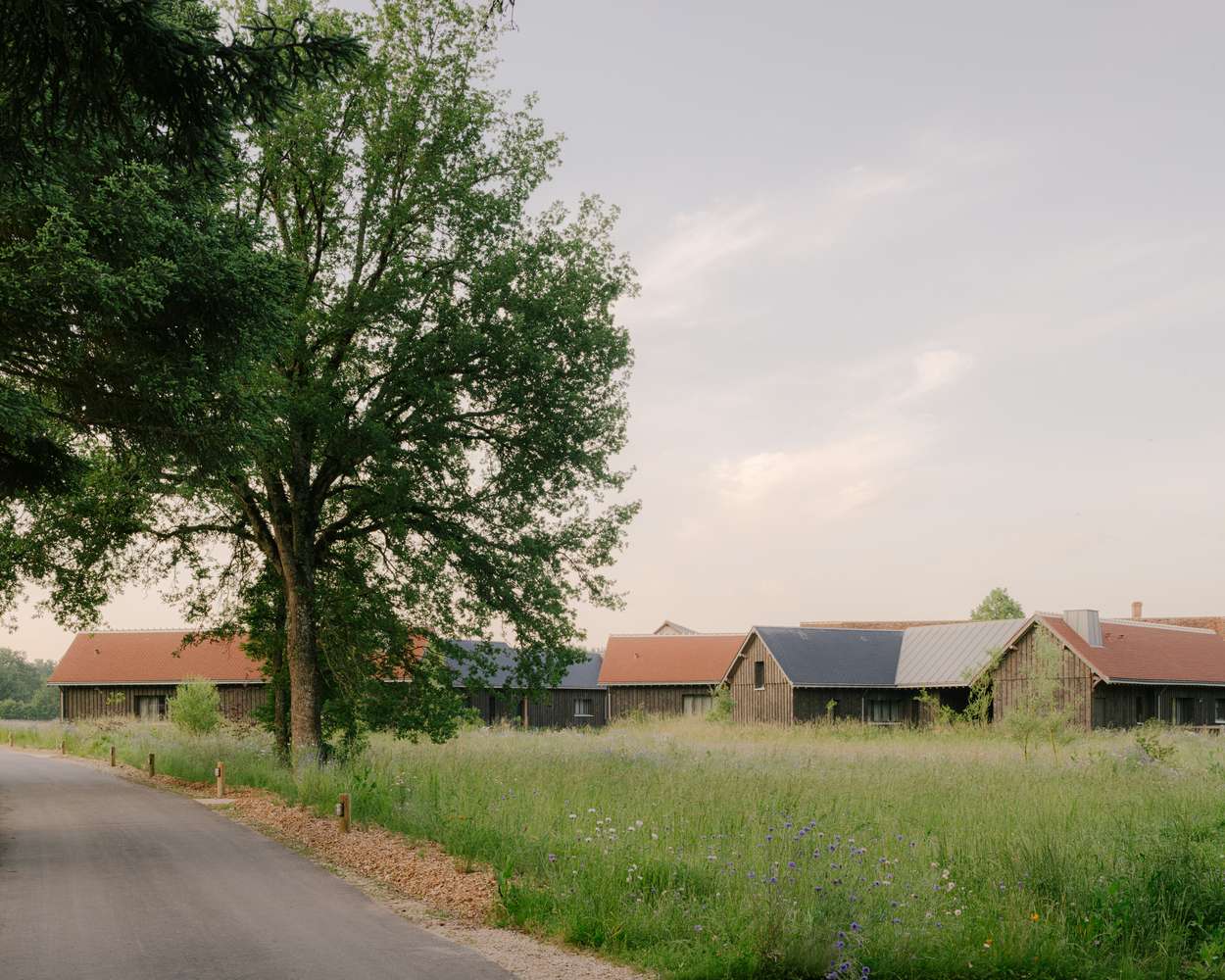 法国 Cheverny 城堡酒店扩建丨Collet Muller Architectes-30