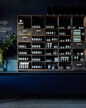 Aesop Daylesford 门店 | WhitingArchitects 的自然创意合作