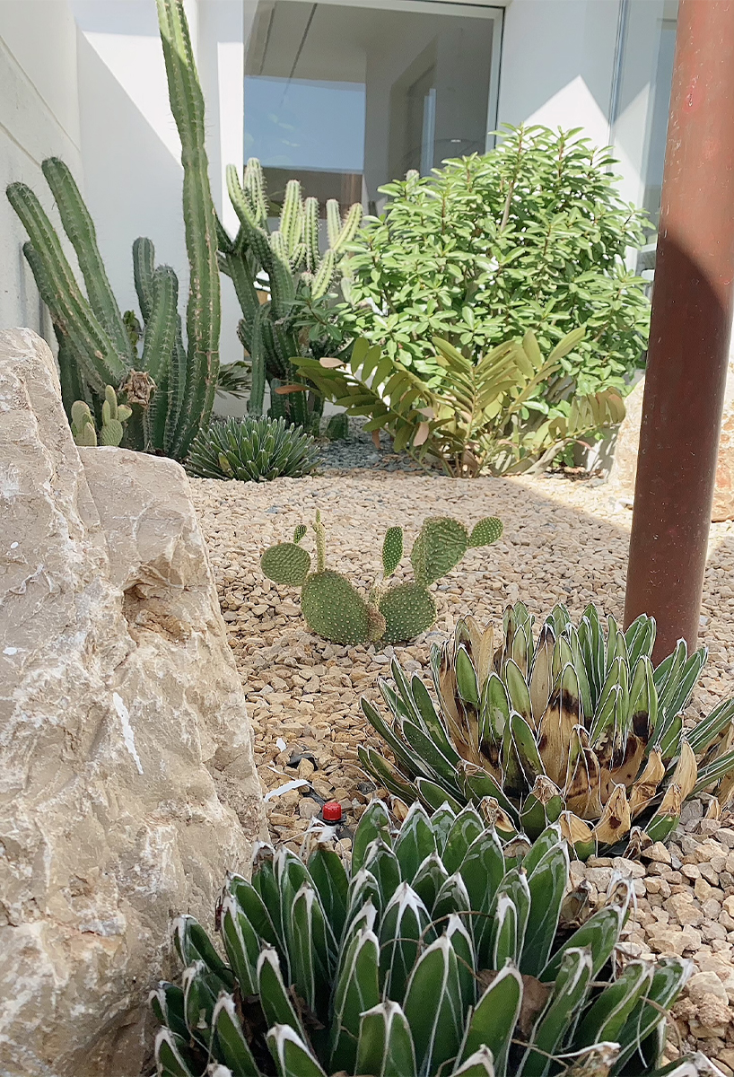 Purity Showroom · 中东地区的欧洲风格纯净展示空间丨ambientStudio-38