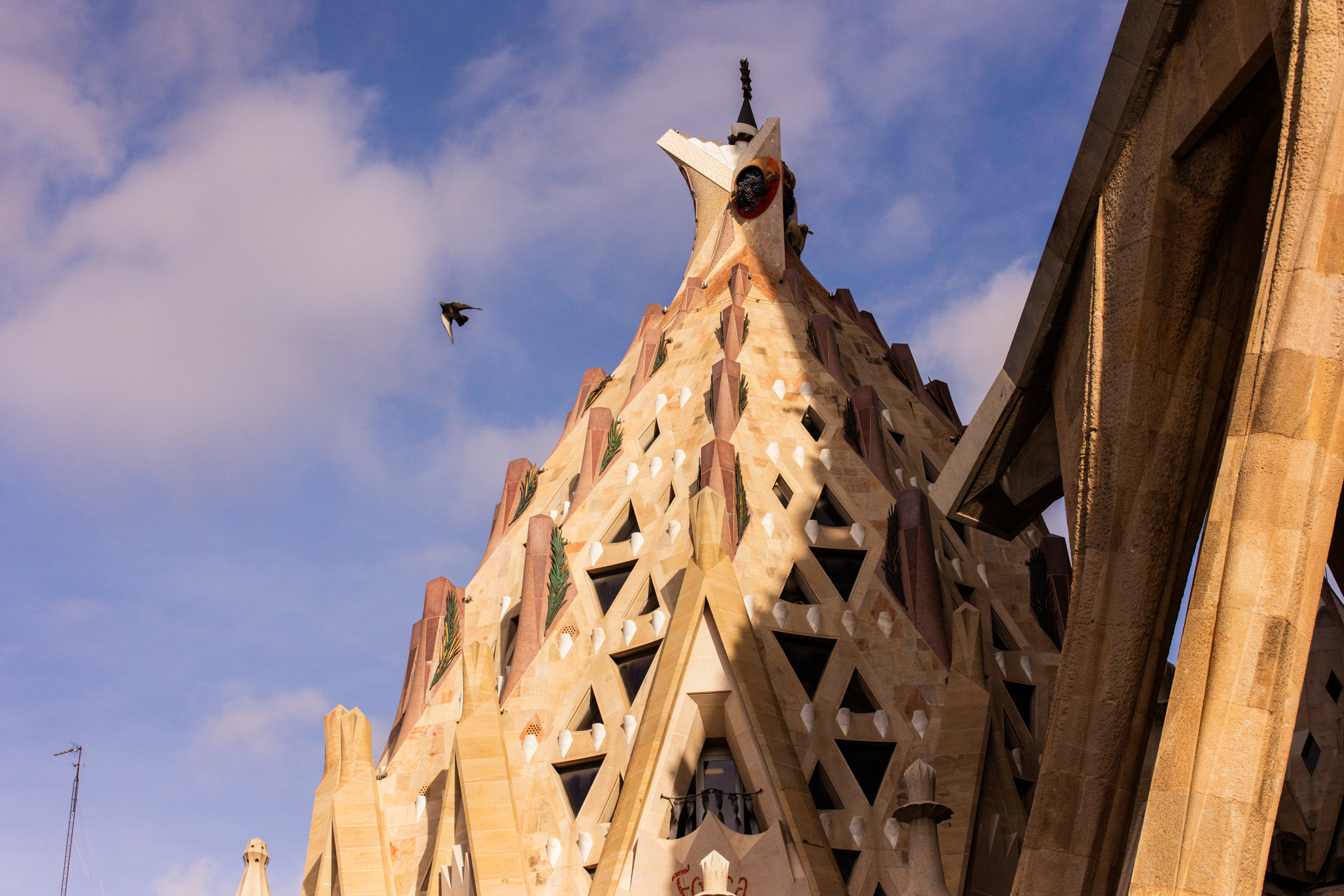 圣家族大教堂（Sagrada Familia）丨西班牙巴塞罗那丨安东尼·高迪（Antoni Gaudí）-9