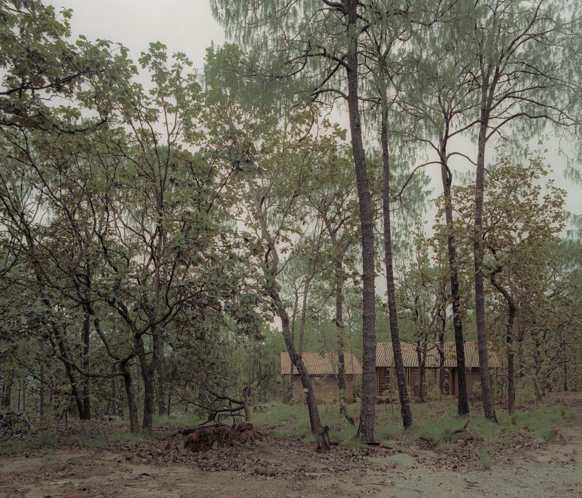 萤火虫之家丨墨西哥-10