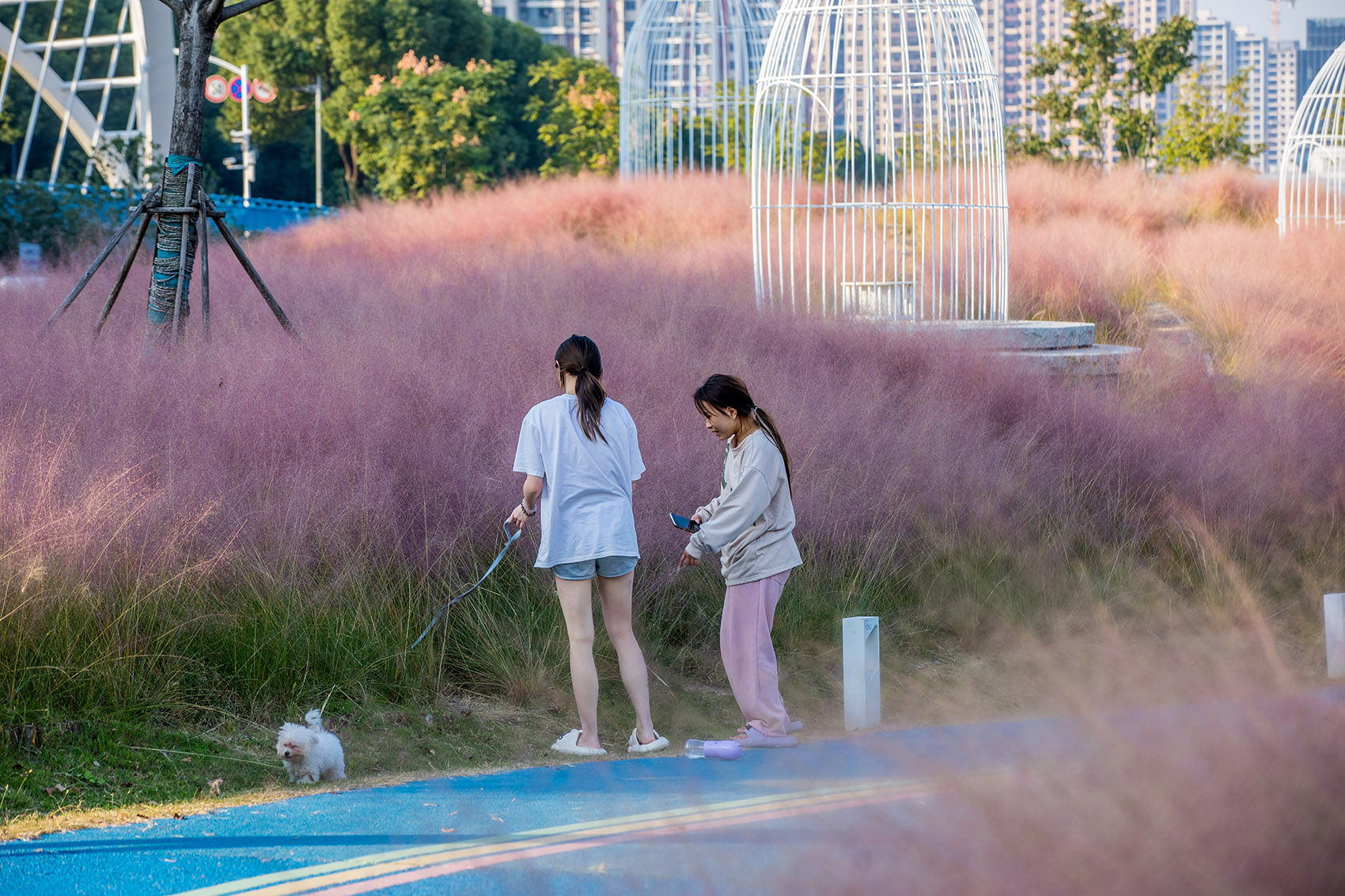 苏州元和高新区活力环设计丨中国苏州丨启迪设计集团北京分公司三朋工作室-56