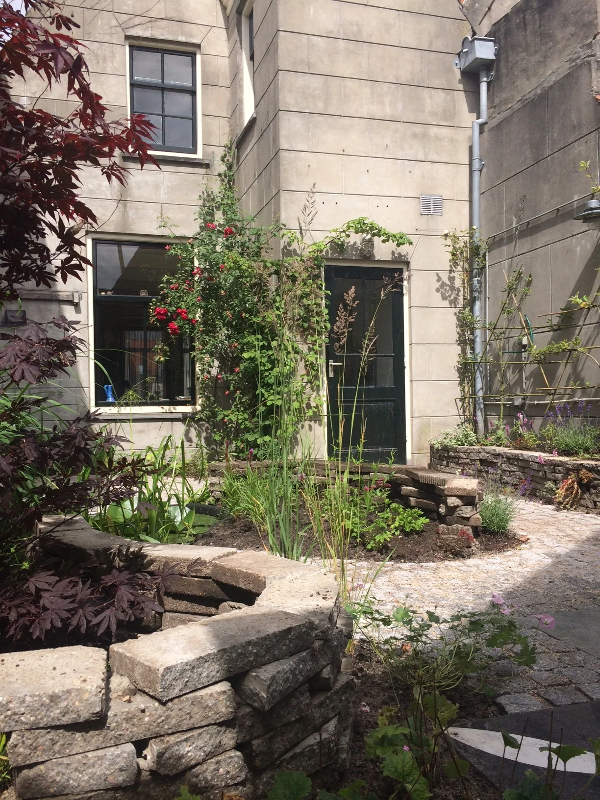 oude stadstuin Alkmaar 园林设计丨未明确提及-4