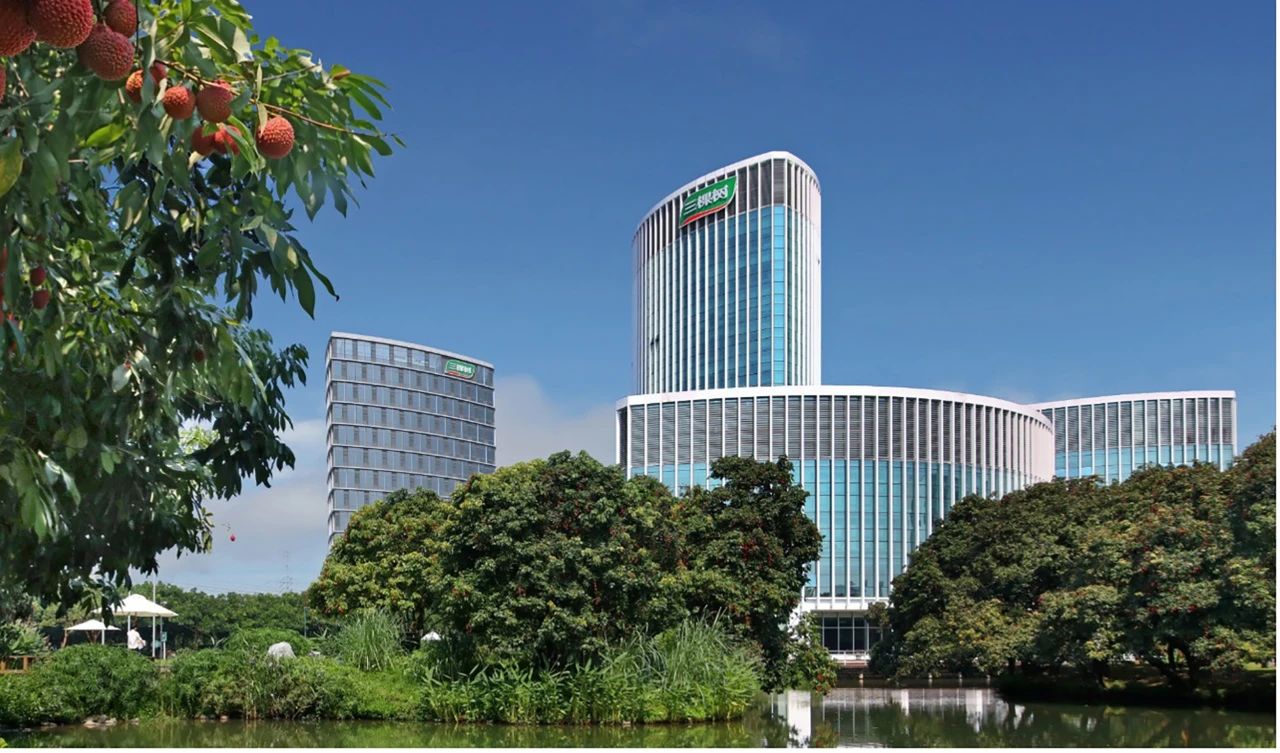 三棵树菁英大楼丨中国莆田丨STUDIO HBA-62