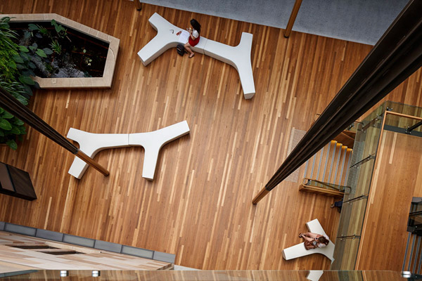 昆士兰州全球变化研究所丨澳大利亚布里斯班丨Hassell建筑事务所-11