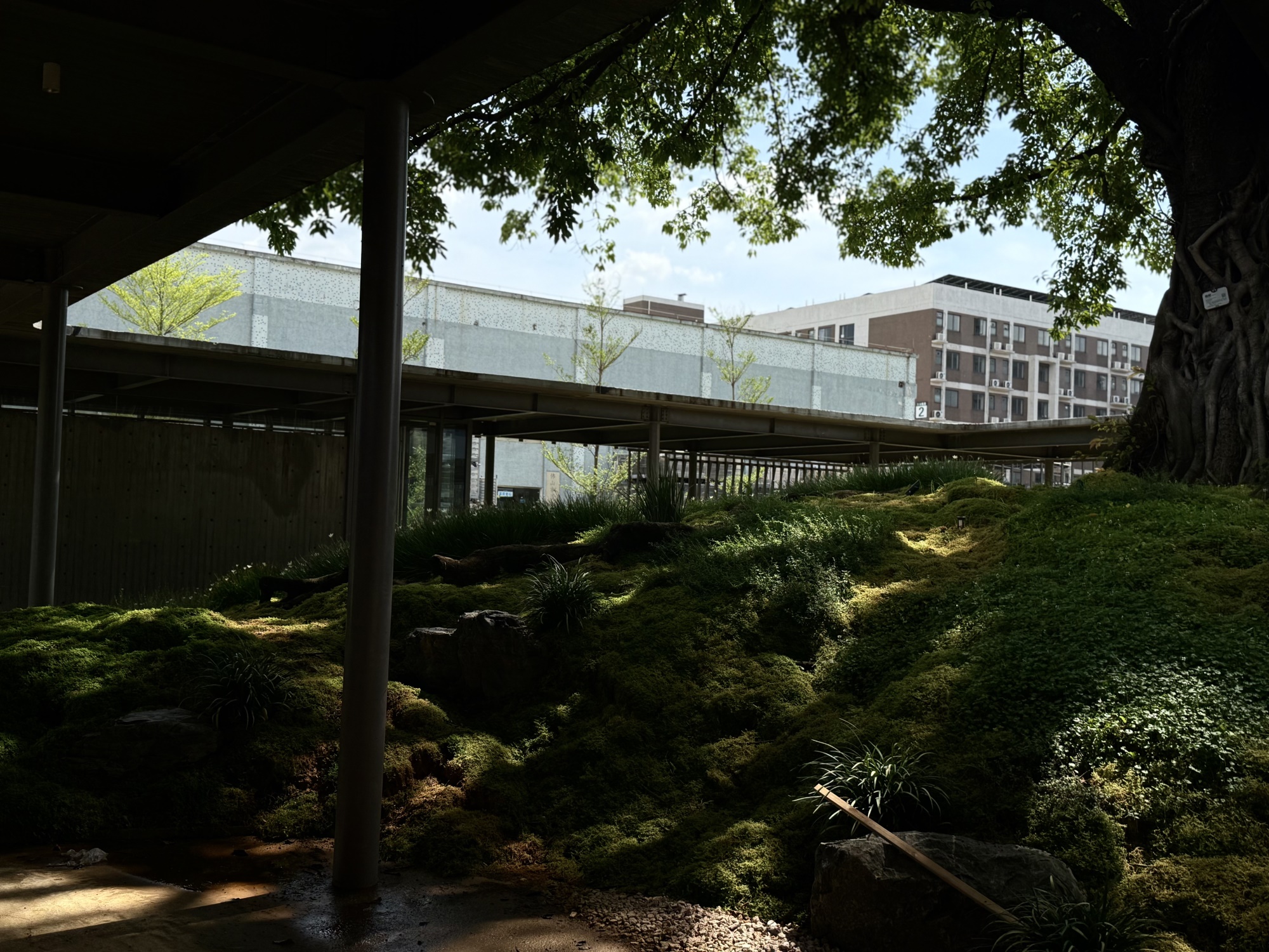 宝华智造产业园丨中国佛山丨成都无囿景观设计有限公司,佛山至岸园林-15