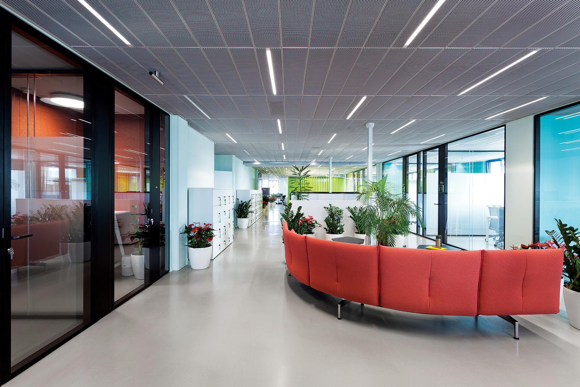 雅典办公空间翻新丨希腊雅典-24