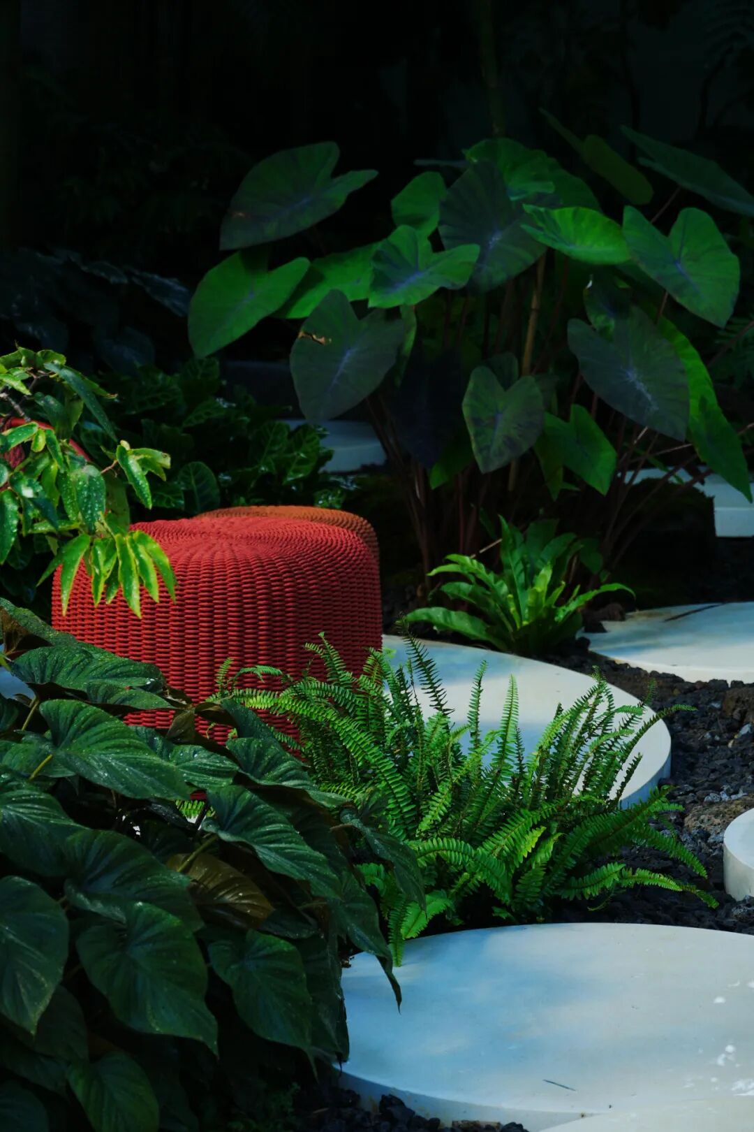 于热带秘境中编织生活美学|江东麓岛阅海澜岸2期花境项目-83