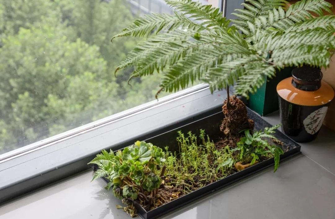 杭州万科·金色城品丨中国杭州丨VBD中置华优设计集团-23