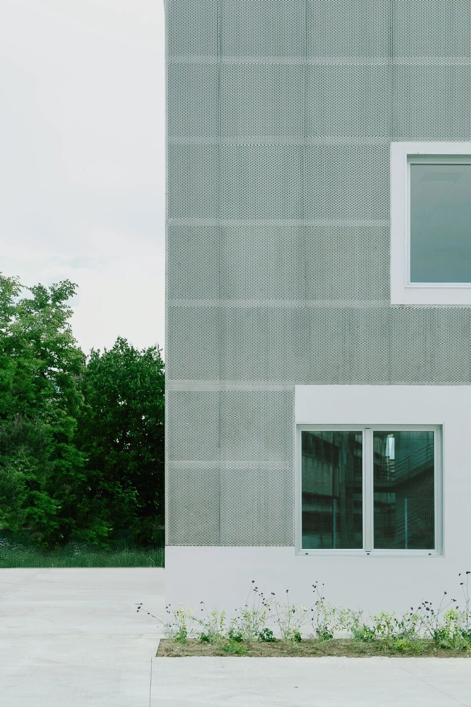 San Giusto 高中丨意大利丨Colucci&Partners-51