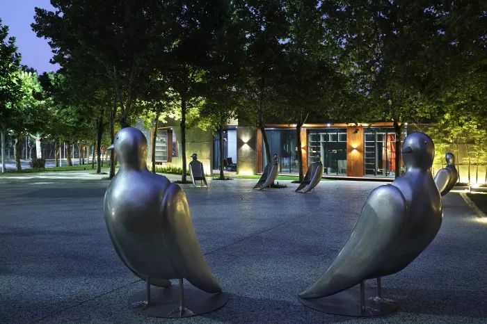 郑州经开区朝凤路景观提升改造 | 自然与艺术的融合-38