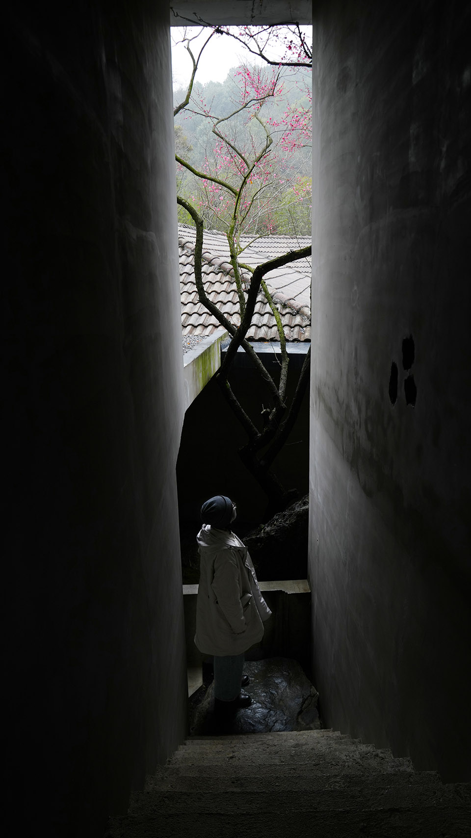 汖墟,杭州丨中国杭州丨山山园林-186