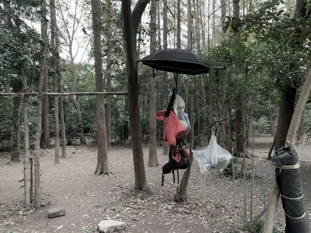 中国园林·理事专栏|“拓”之力量：杨浦公园改造纪实(三)-208