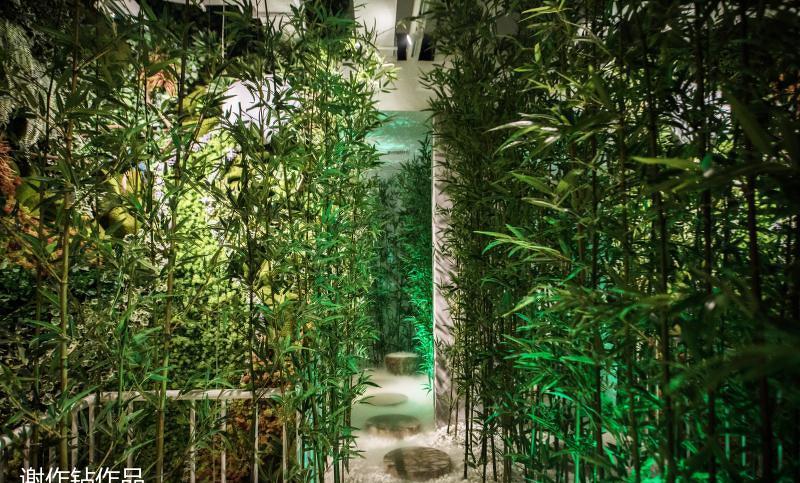 
杨小宝捞烫实景图 -12