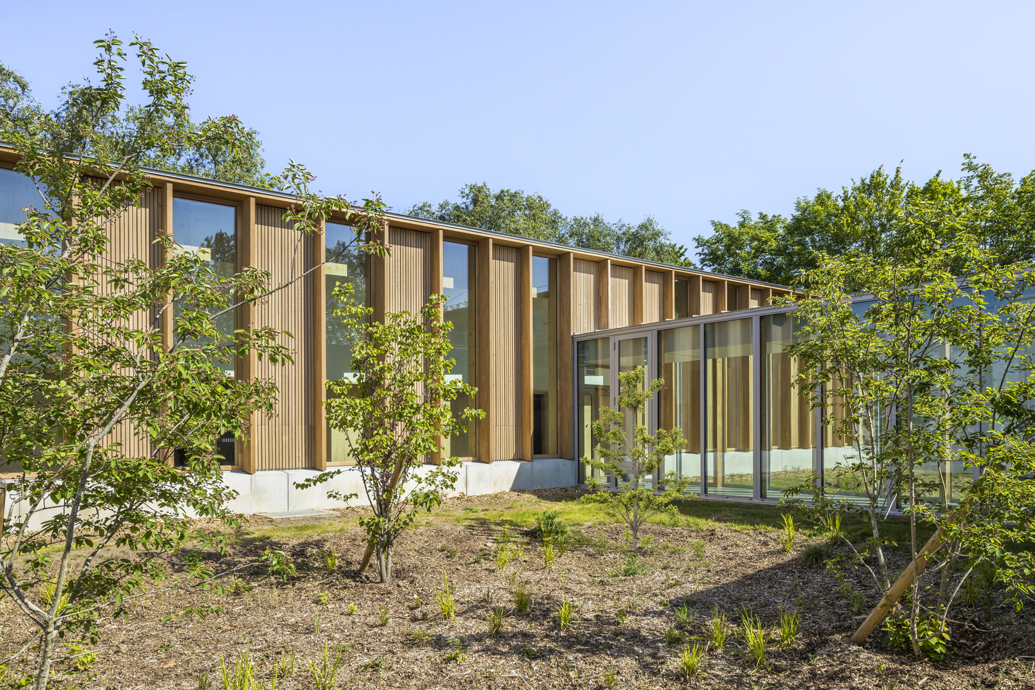 法国 Conflans-Sainte-Honorine 休闲中心与小学扩建项目-25