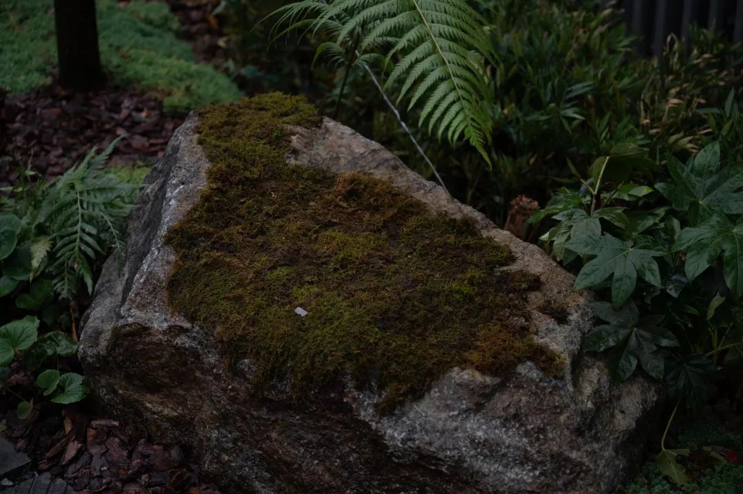 苏州和悦塘前雅院示范区丨中国苏州丨MIND迈德景观,上海申城建筑设计有限公司-11