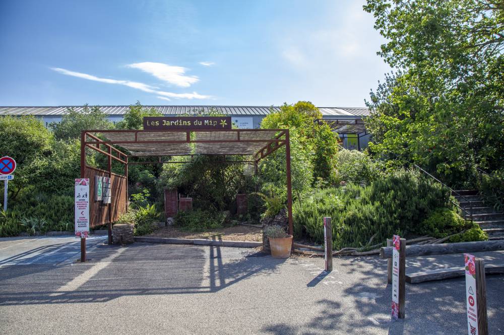 The Gardens of the International Perfumery Museum - France-6