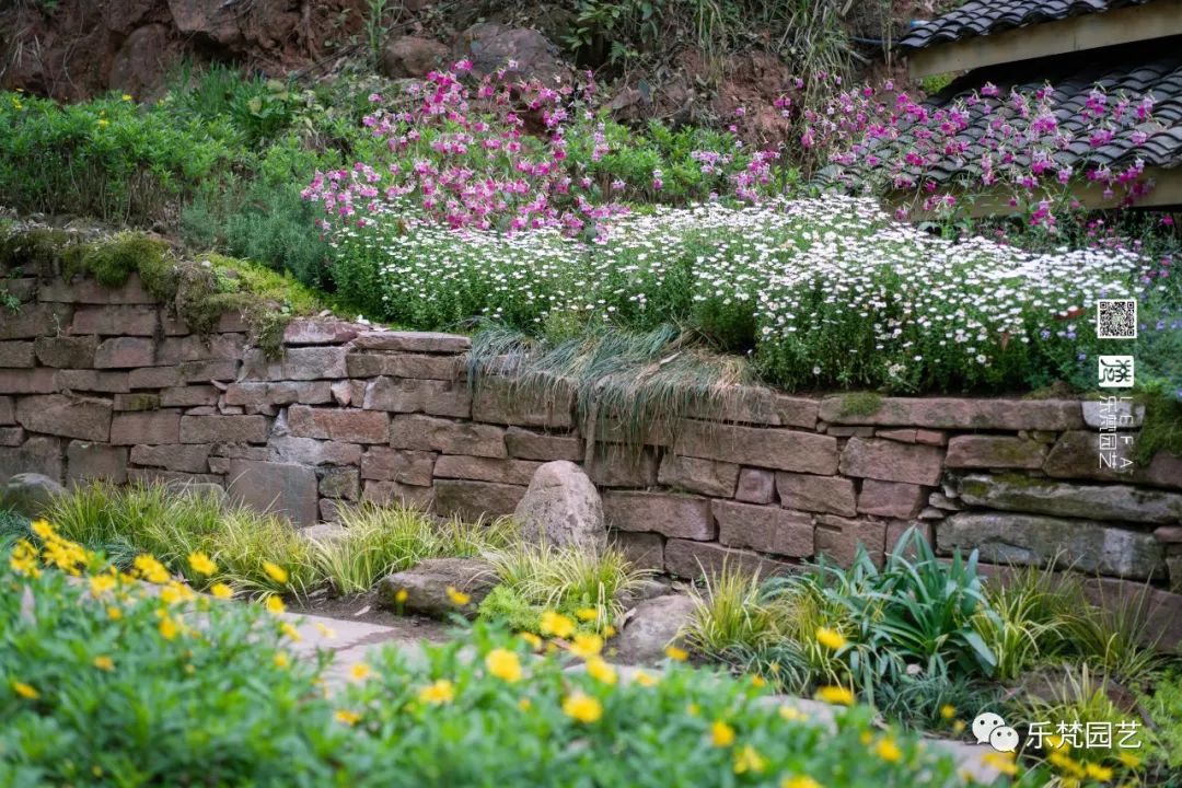 丹棱春色 · 古韵新颜,漫山幸福花开丨中国眉山丨乐梵-7