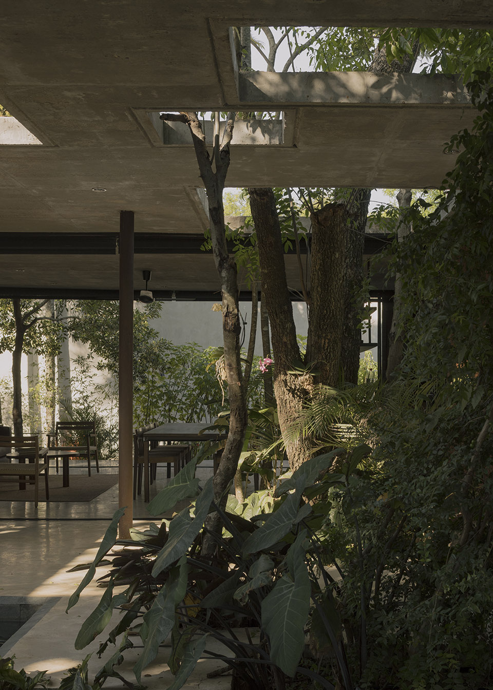 屋中森林丨巴拉圭丨Equipo de Arquitectura-33