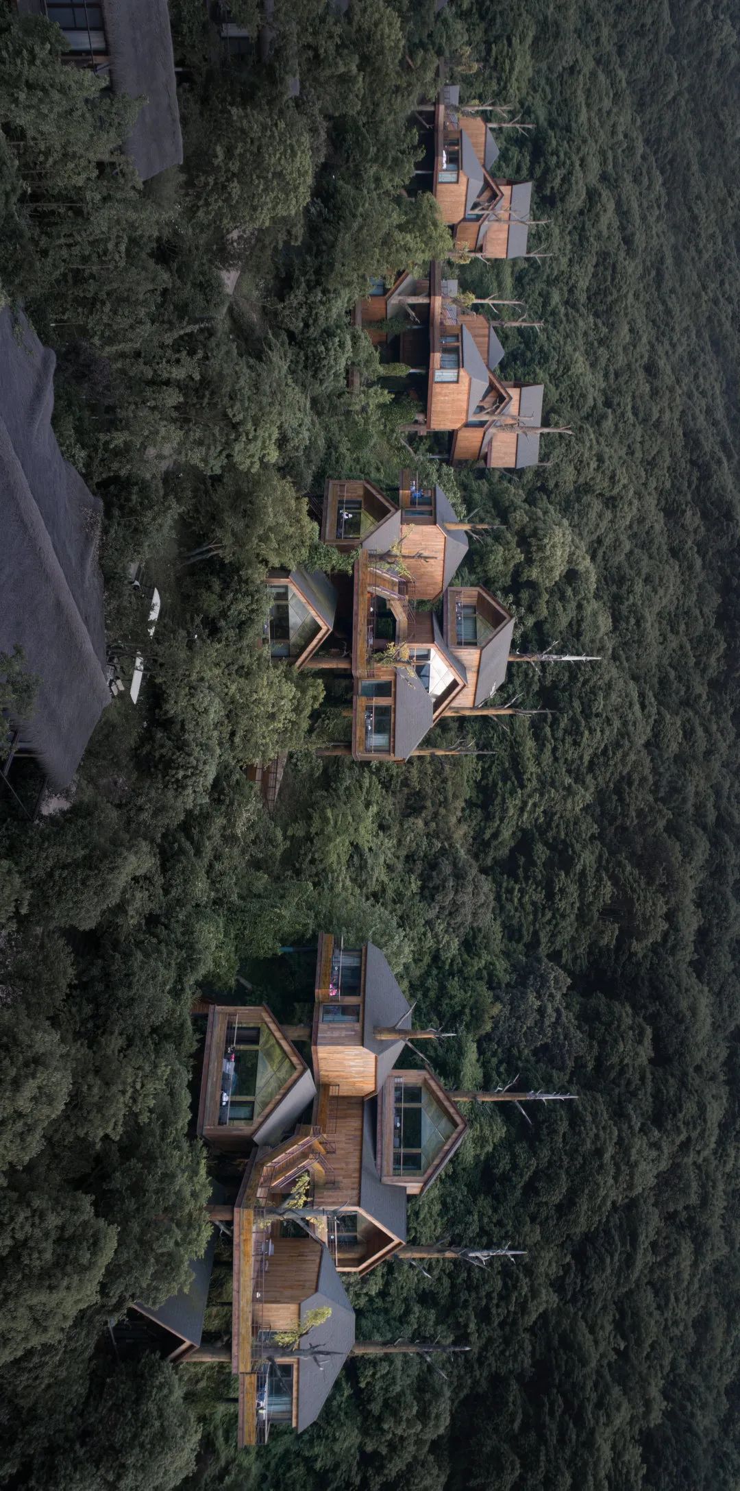 重塑人与自然的连接｜开元森泊度假酒店-31