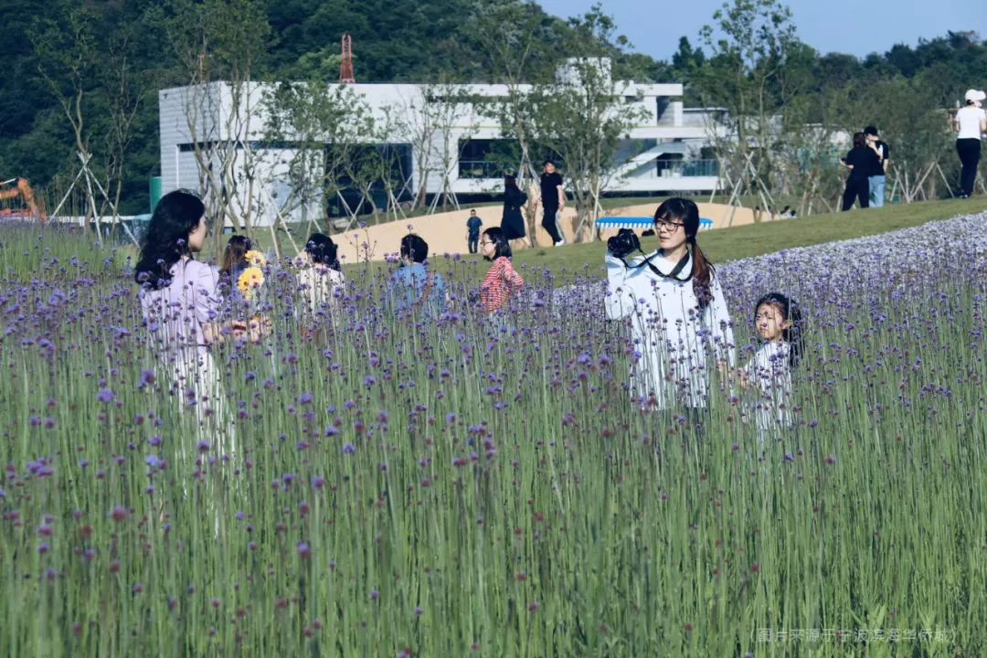 邂逅自然 | 宁波华侨城·欢乐滨海的自然景观设计-146