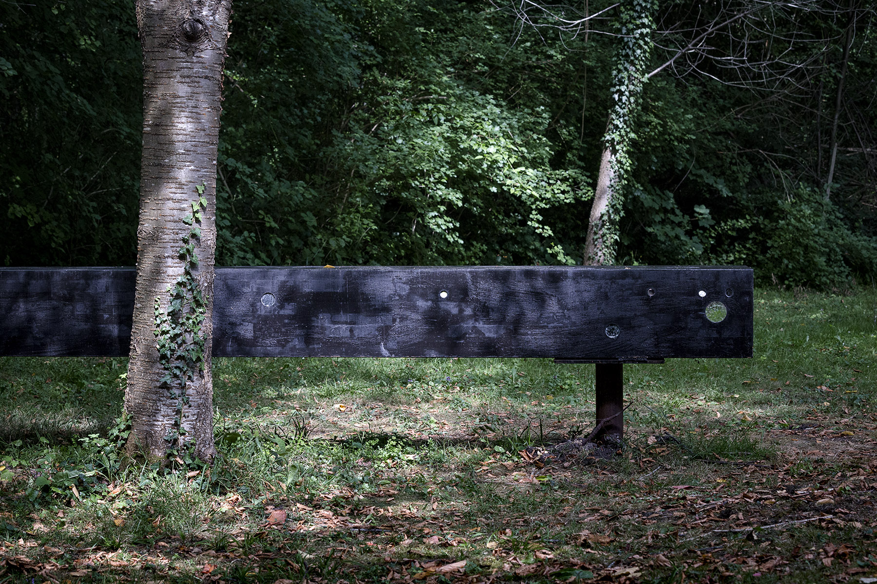 第三列车花园的镜像长凳丨法国-37