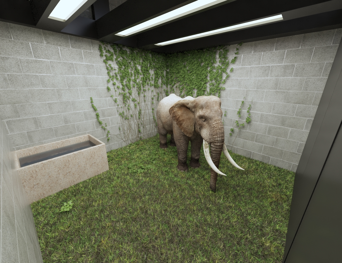 Elephant House Giza Zoo 2022-5