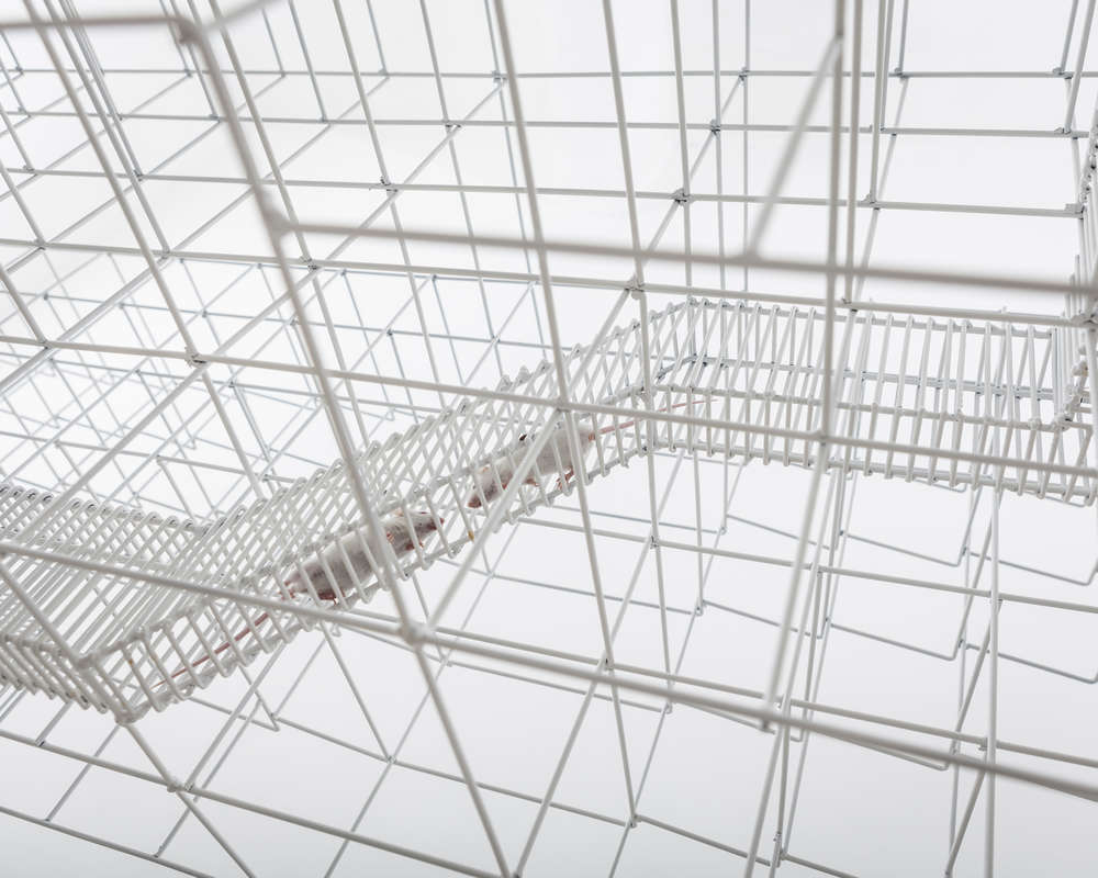 假释；有条件释放；言语（在语言学中指个人的实际言语行为）丨Daniel Zamarbide与Leopold Banchini-17