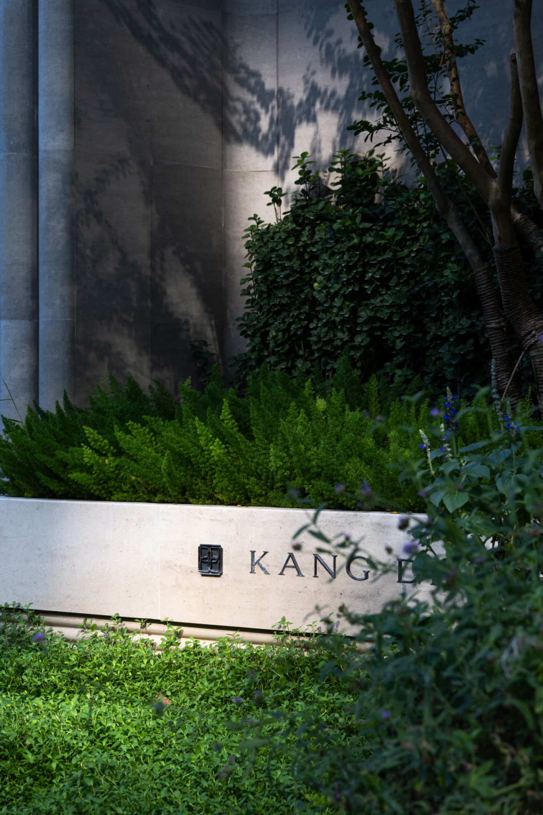 招商·康定壹拾玖 老静安印记 梧桐下永恒丨中国上海丨柏熙标识-12