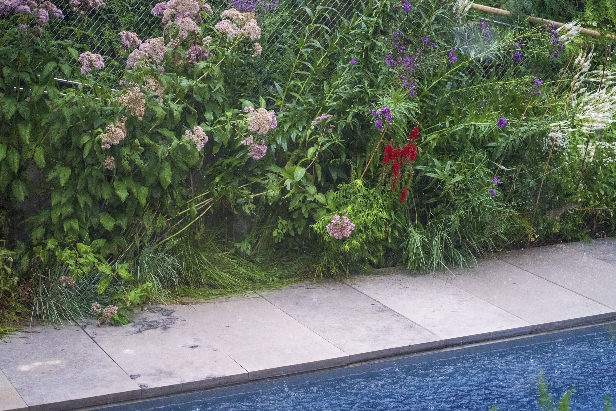 丨加拿大多伦多丨Poiesis Architecture-47