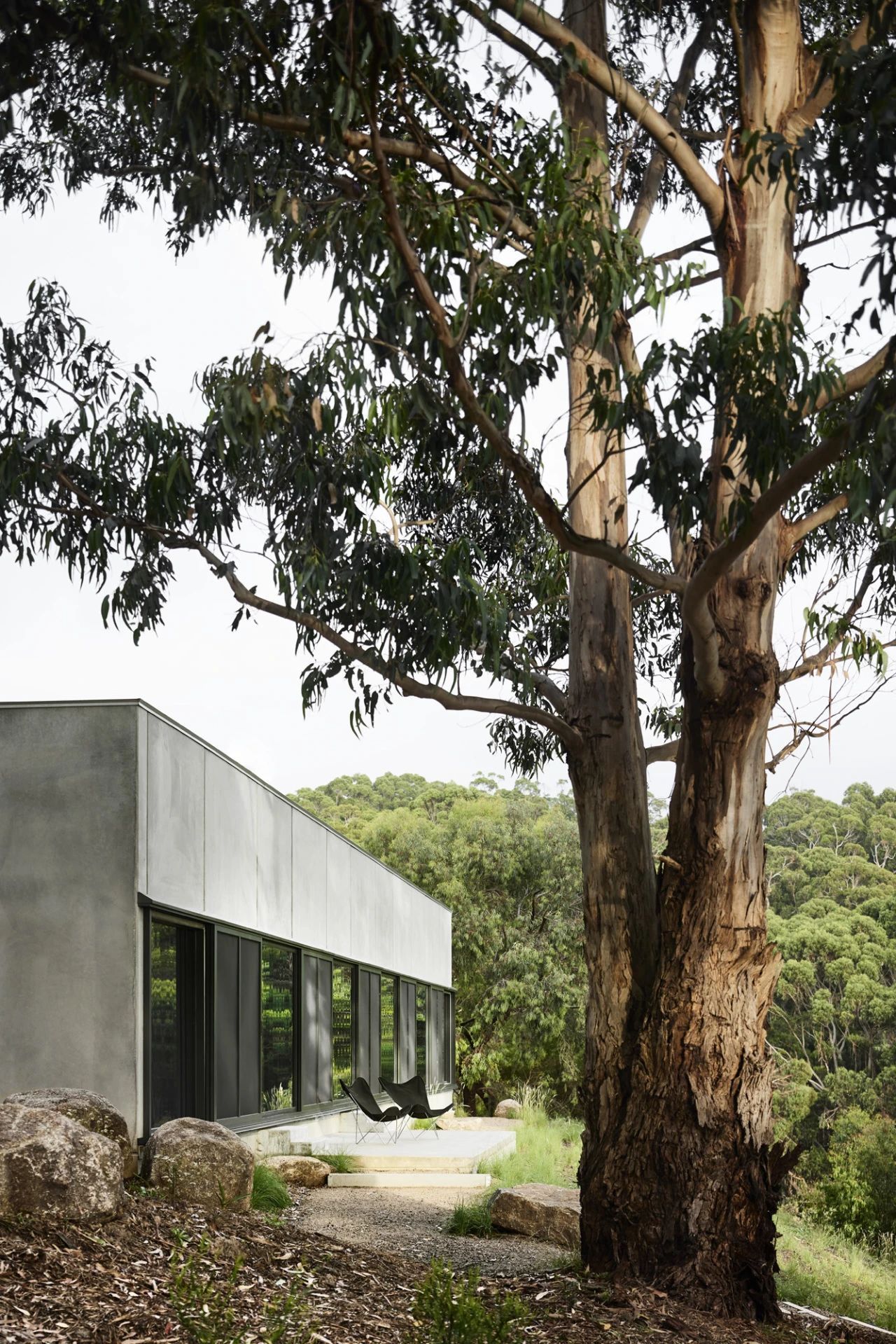 游击湾屋丨澳大利亚新南威尔士丨Kerstin Thompson Architects-41