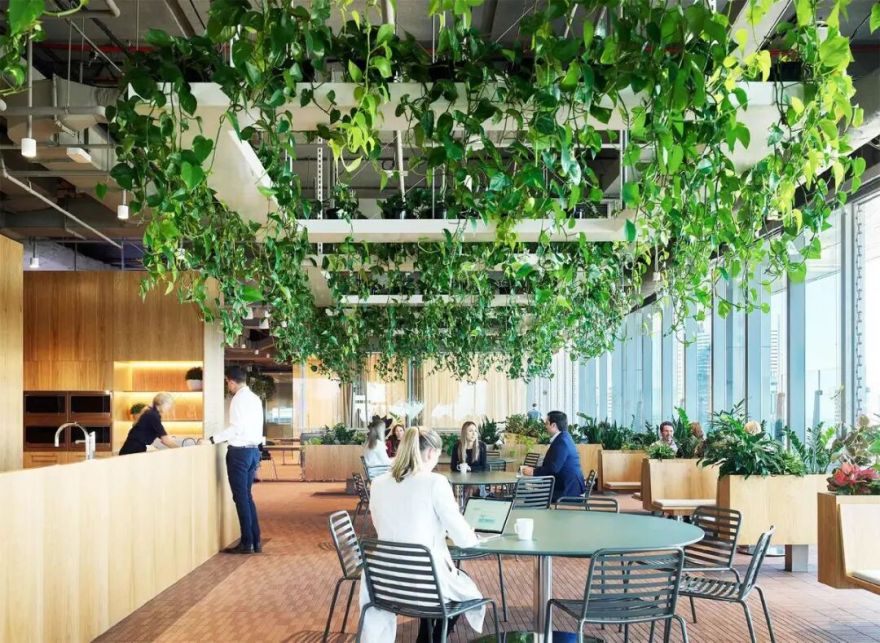 澳洲养老基金ART布里斯班总部丨澳大利亚布里斯班丨Cox Architecture-21