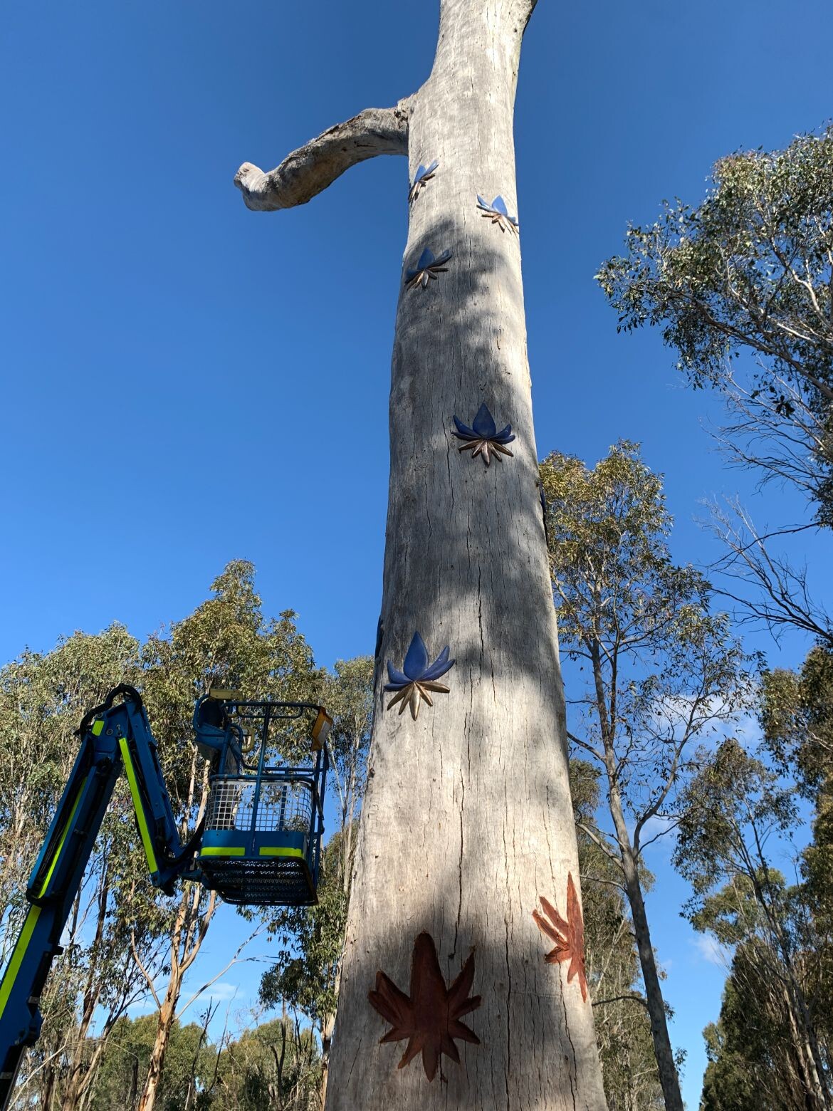 Supporting First Nations artists - Tilt | Indesignlive-11