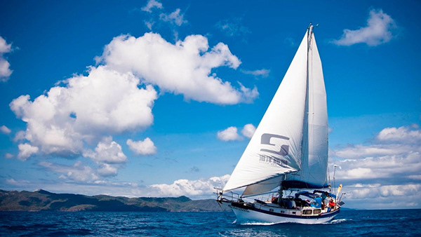 海洋新城-品牌/策划2019-37