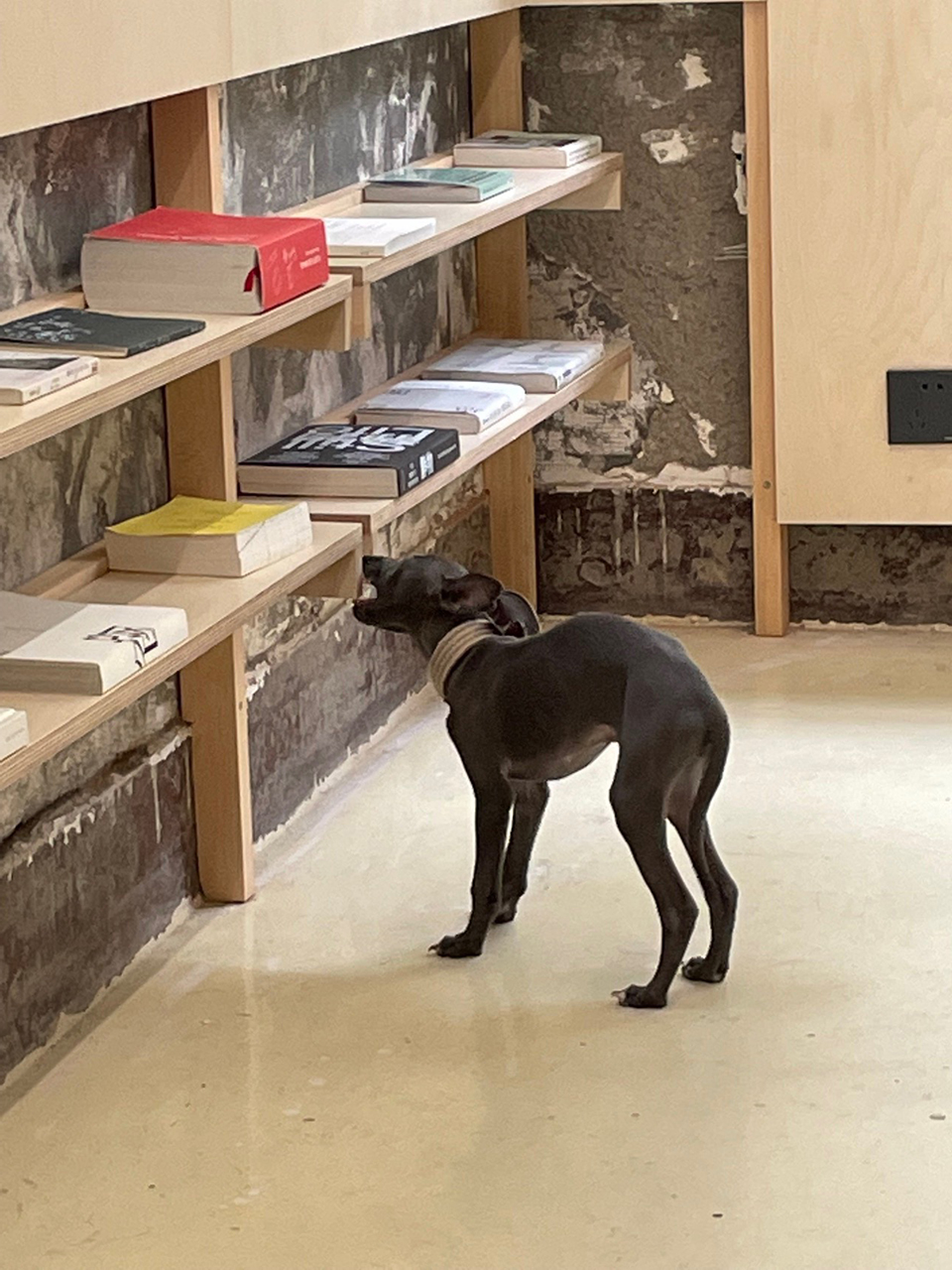 上海富民路一大白&杂碎工作室丨中国上海丨Office FUU 一大白设计研究所-63