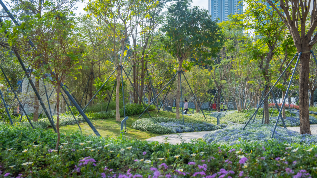 智见 · 云上 | 云之园 CLOUD PARK-176