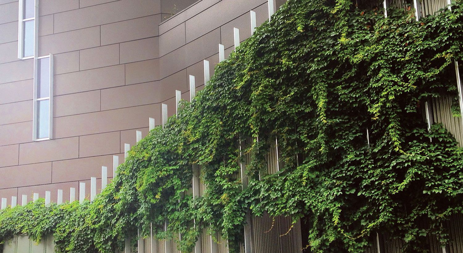 南波士顿 Macallen 大厦绿色公共空间设计-15