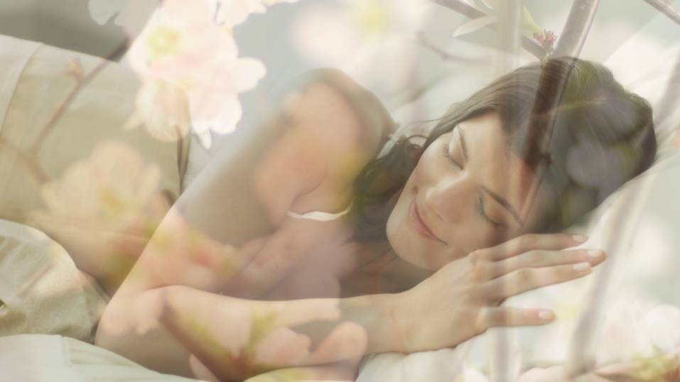 与自然共生 | 一个被植物包围的家-11