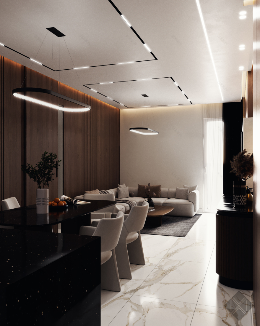 Shnzu Apartment Project - A Contemporary Apartment-8