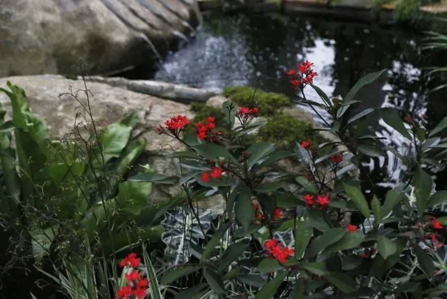 仲夏夜之梦 · 莎士比亚灵感的花园设计丨中国深圳丨Sarah Eberle(英国)-54