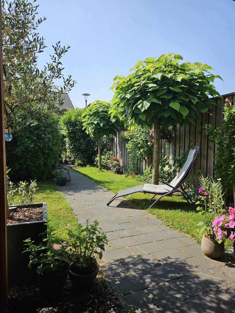 Margreet的带露台小花园丨荷兰阿森-18