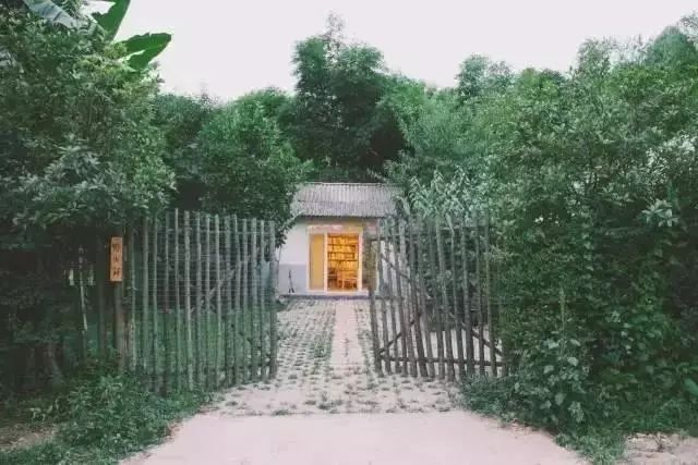 她徒手爆改废弃院子，三人一猫一狗，过着最诗意的生活！-14