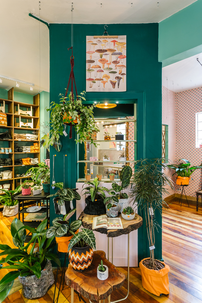 植物咖啡馆,酒吧,植物-21