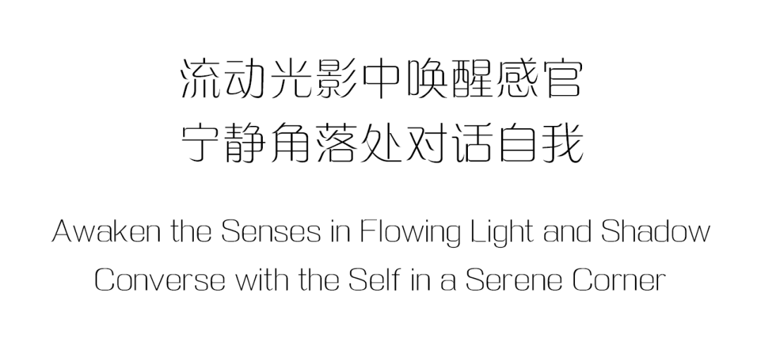 浮光掠影间，宁静与律动的邂逅-1