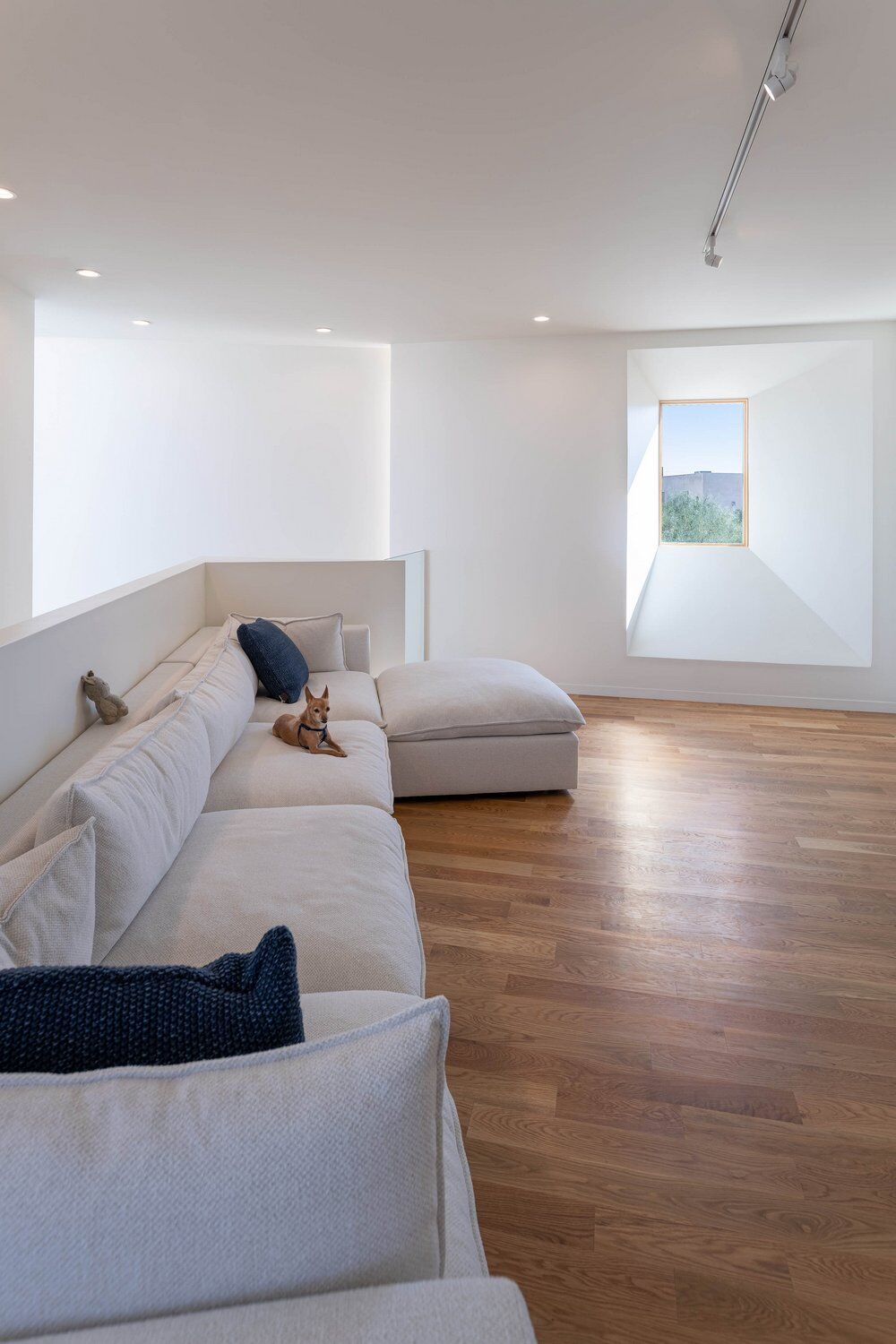 丨美国图森丨Ibarra Rosano Design Architects-43