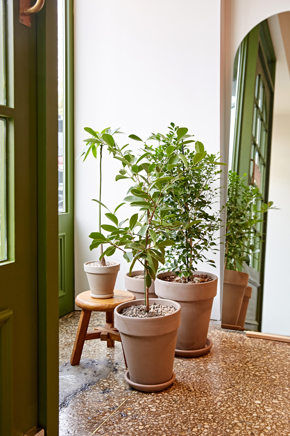 绿色外观的 7 星级内饰设计 | 惊艳的格林克拉尔商店-14