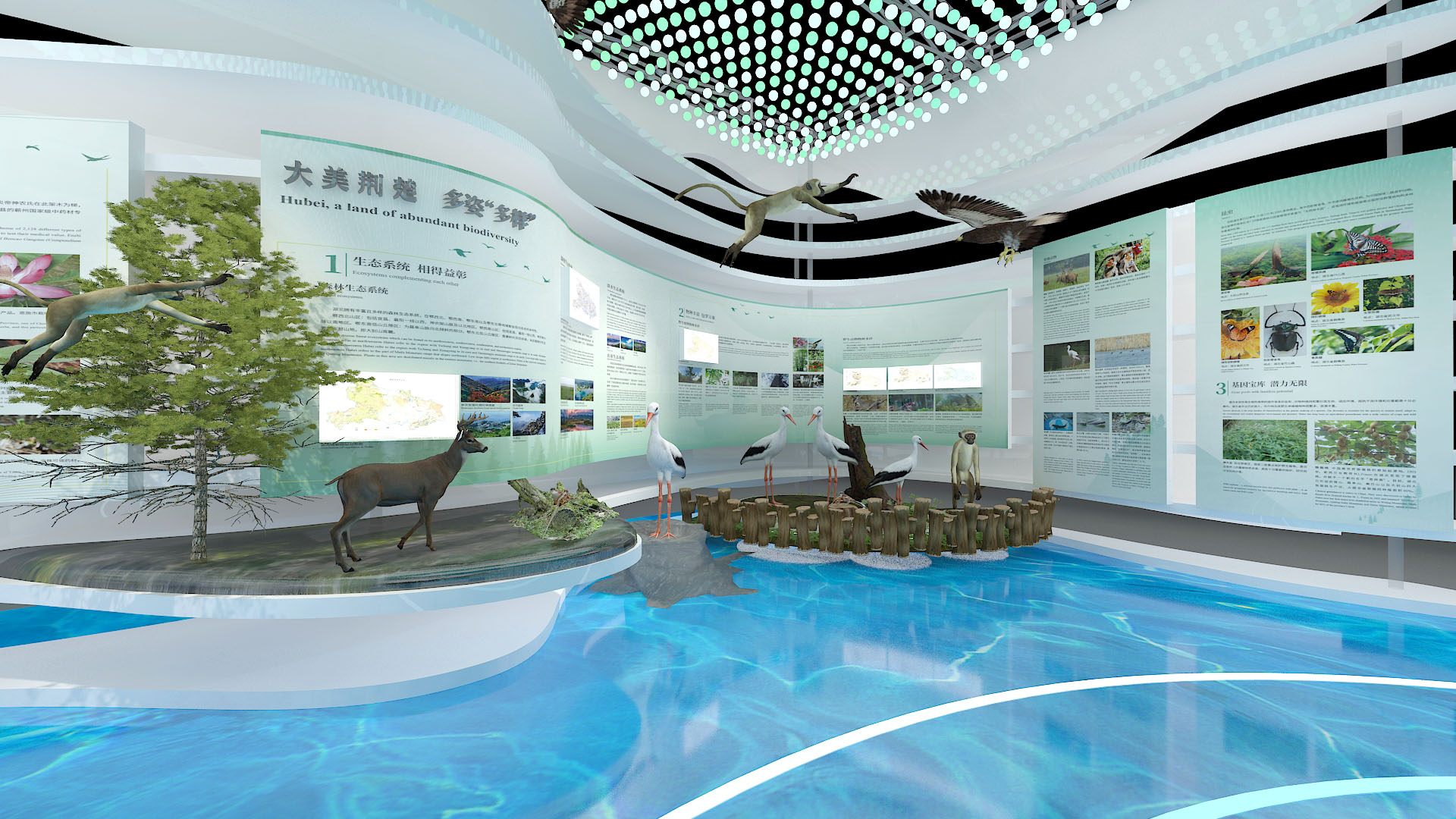 生物多样性-湖北馆-10